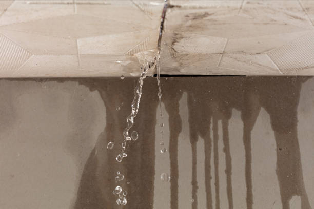 Professional Water Damage Repair technician working in Santa Barbara, CA
